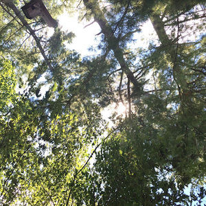 Meet your Posher, Dulce